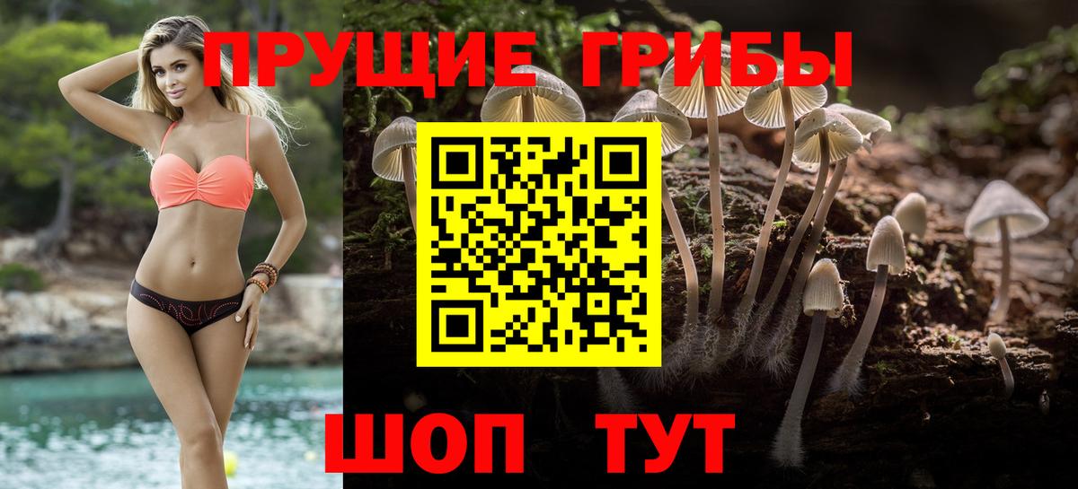 Галлюциногенные грибы Cubensis Можайск
